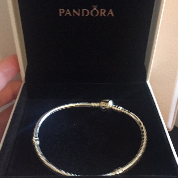 SOLD! Iconic Silver Charm Bracelet🕊 - Picture 2 of 2